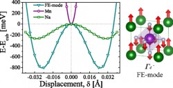 Geometric ferroelectricity in fluoroperovskites