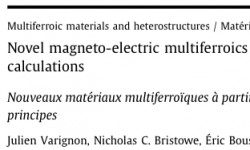 New Review on Multiferroics